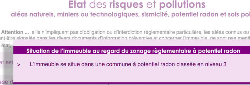 État des risques et pollutions